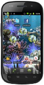 Coral Reef Live Wallpaper